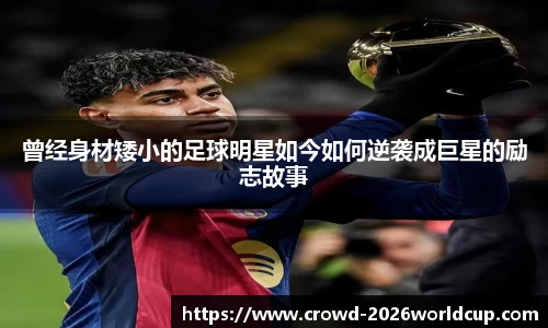 世界杯买球平台